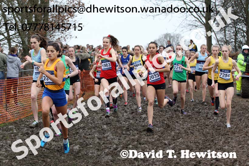 Womens under-17s Inter Counties Cross Country, Prestwold Hall, Loughborough. Photo: David T. Hewitson/Sports for All Pics
